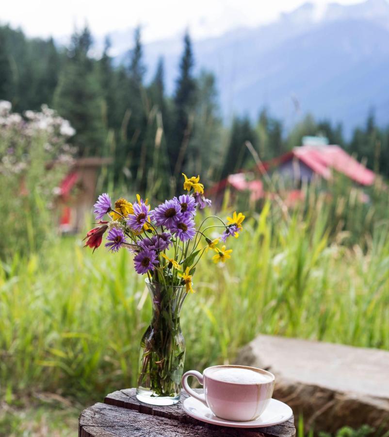 Heather Mountain Lodge Rogers Pass Εξωτερικό φωτογραφία