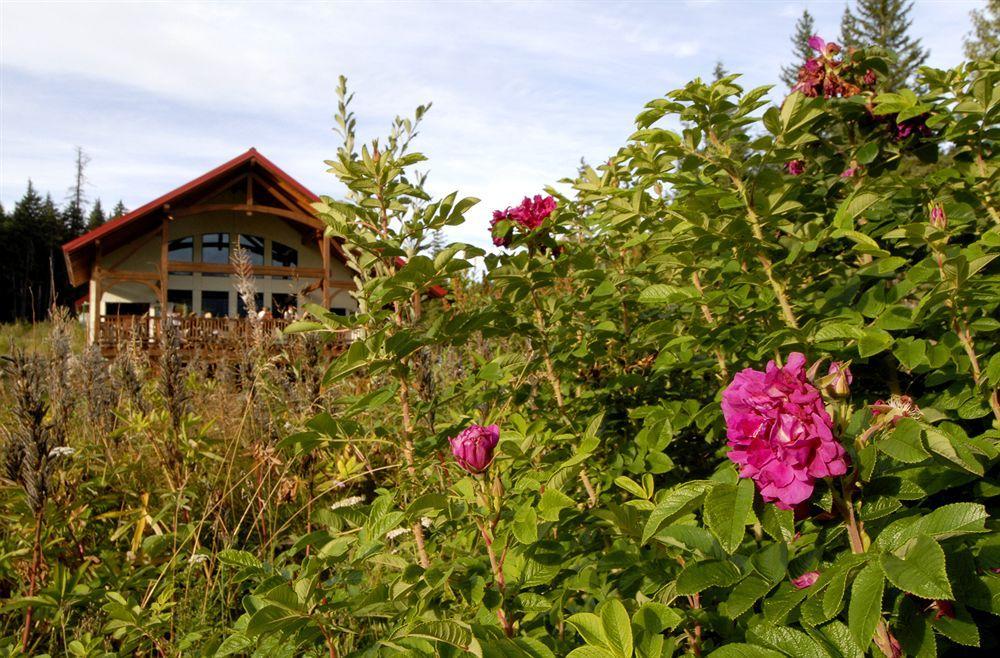 Heather Mountain Lodge Rogers Pass Εξωτερικό φωτογραφία